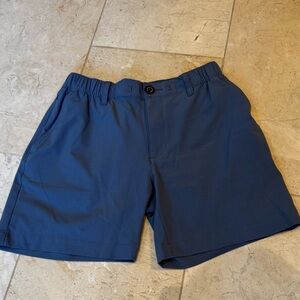 Chubbies Blue Elastic Waist Shorts